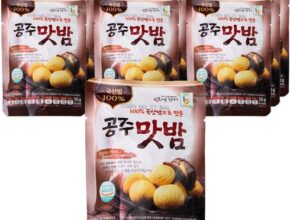 국산밤으로 만든 꿀맛 공주맛밤 50g 30봉 2024년 최고의 국산밤으로 만든 꿀맛 공주맛밤 50g 30봉 베스트상품